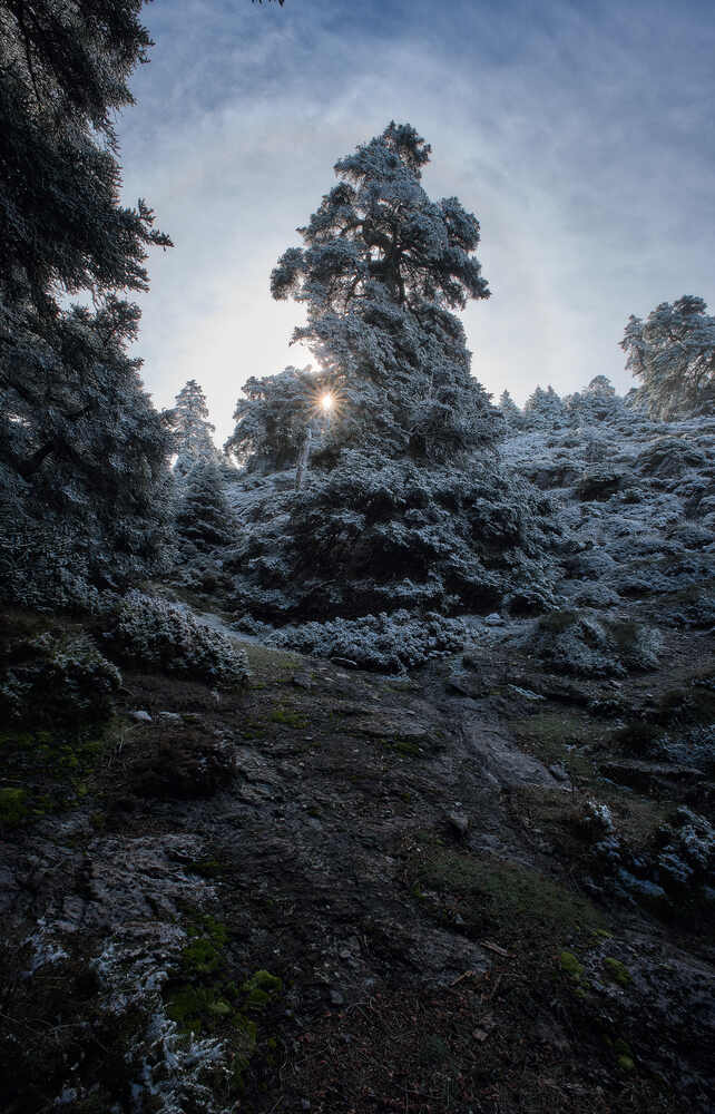 Photograph by Antonio Marquez Lanza