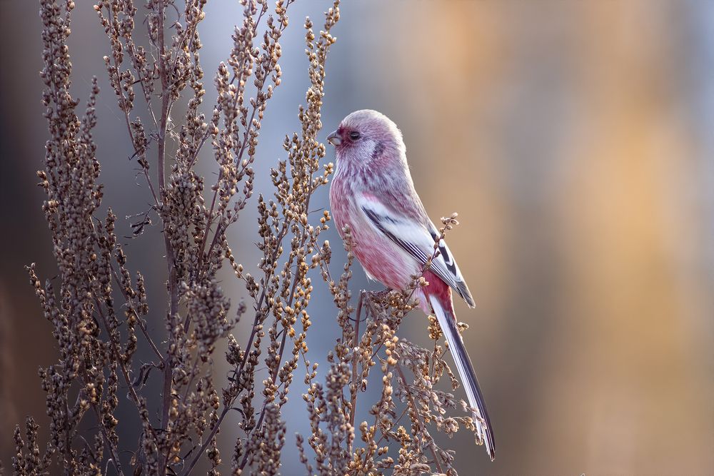 Photograph by Дмитрий Поршнев
