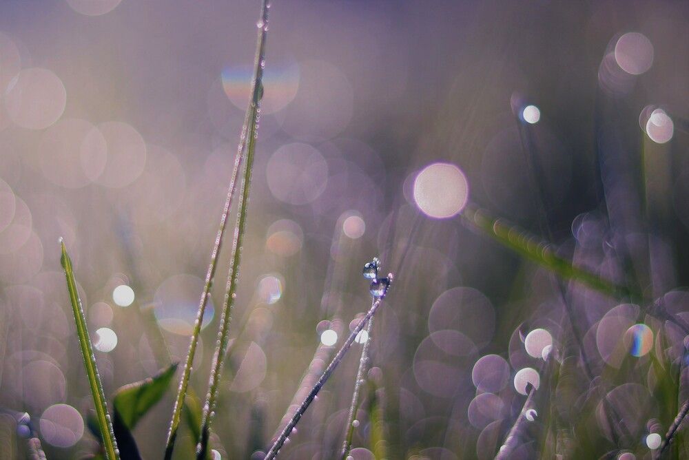 Photograph by Родосская Нонна