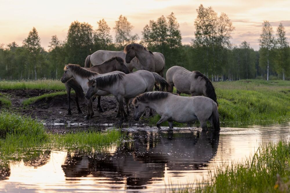 На рассвете.