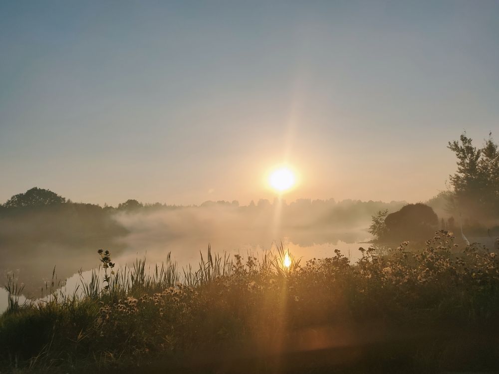 Фотография автора Алла