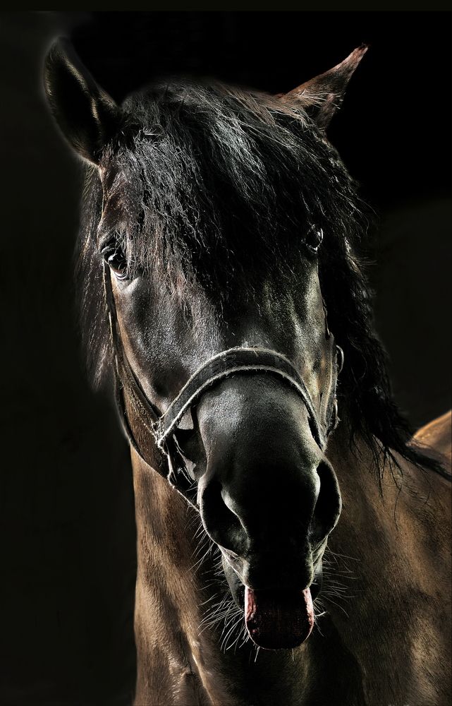 Photograph by Александр Усанов