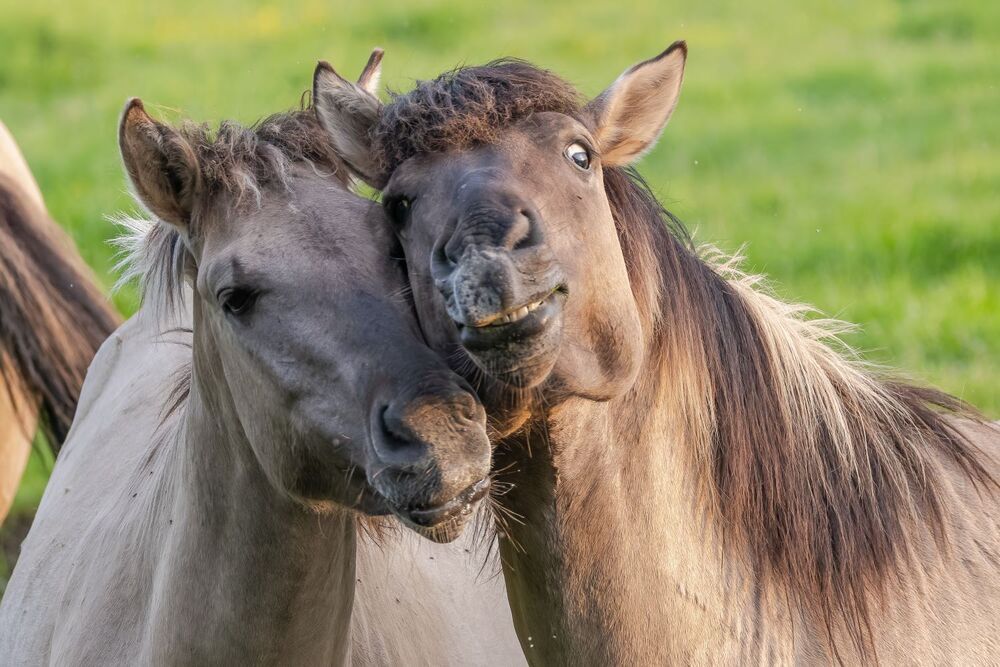 Счастливы вместе.