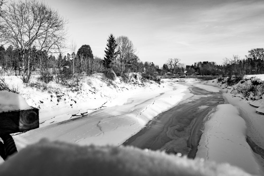 The Frozen Vein
