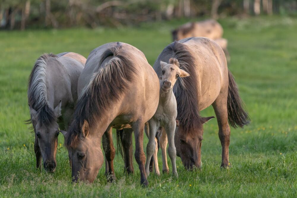 Я смелый, просто осторожный.