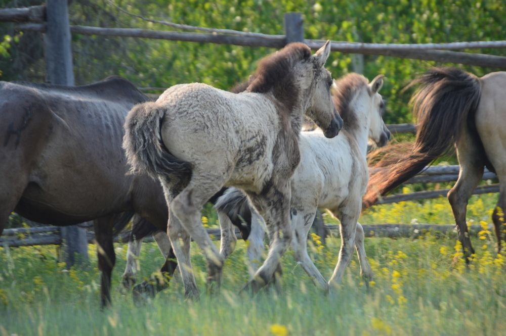 Photograph by Наталья Мордовская