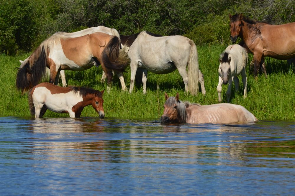 Photograph by Наталья Мордовская