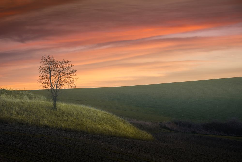Photograph by Michele Ciaramella