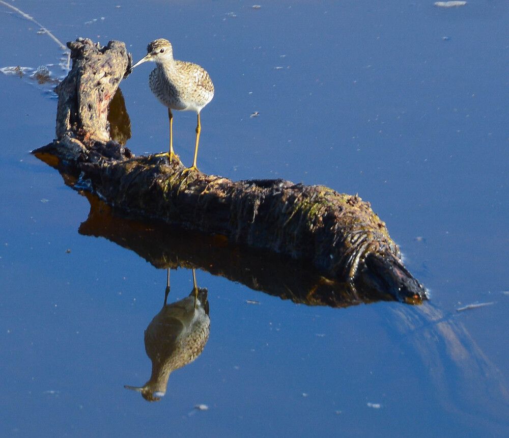 Photograph by Наталья Мордовская