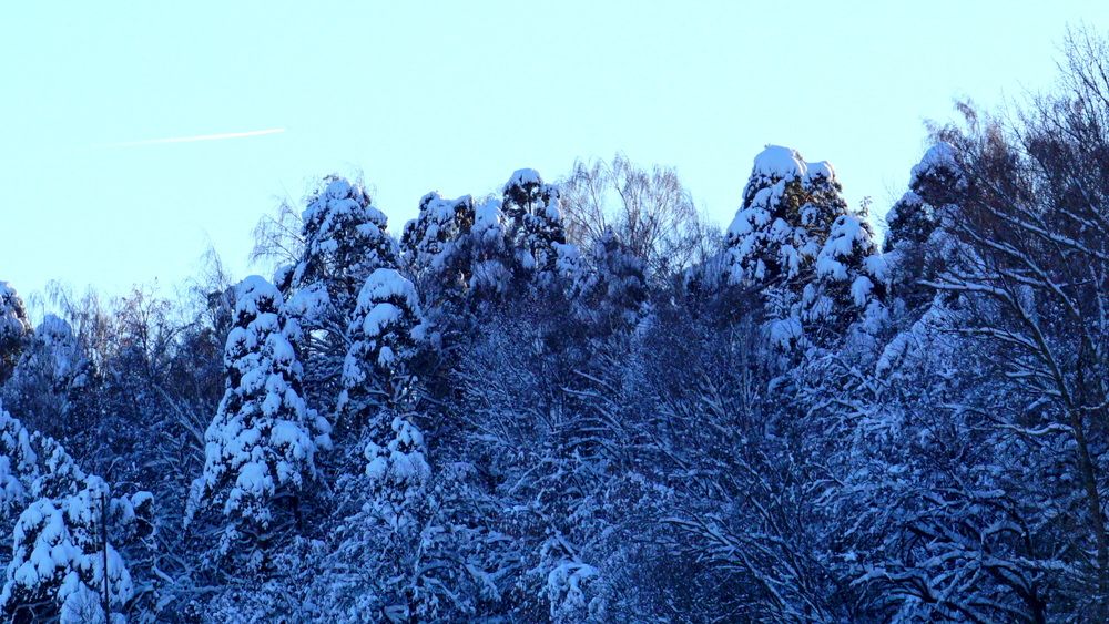 Photograph by Блюмина Елена