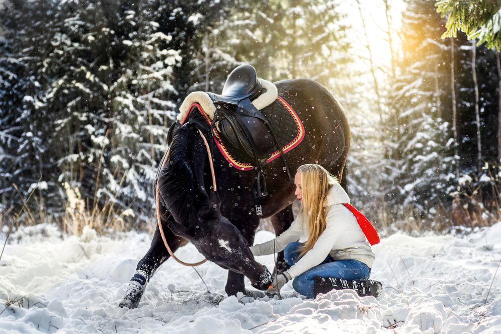 Photograph by Елена Соколова