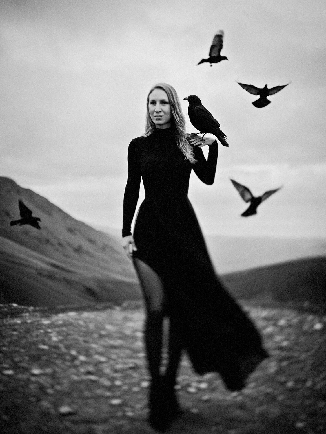Photo #13122894