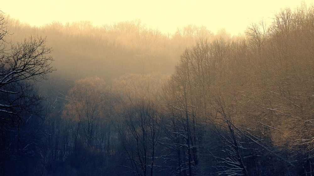 Photograph by Блюмина Елена