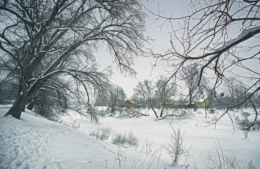 Фотография автора Орлов Олег