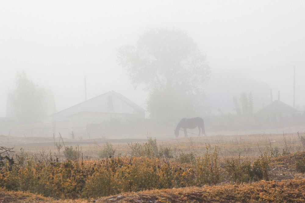 Photograph by Vitaliy Saposhnikov
