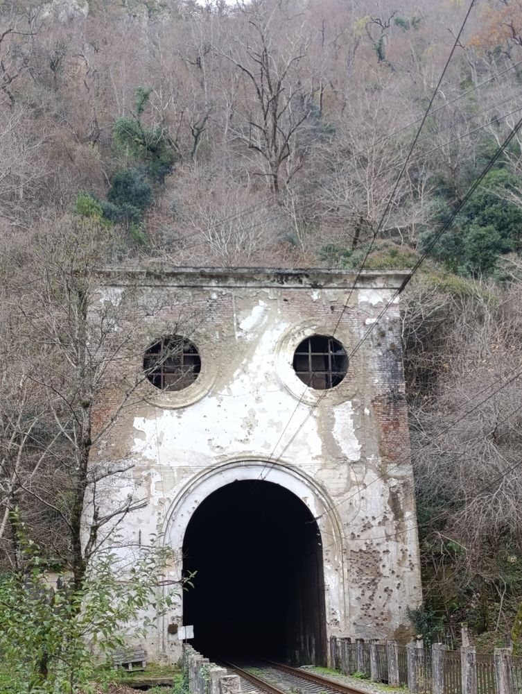 Фотография автора Юлия Некрасова