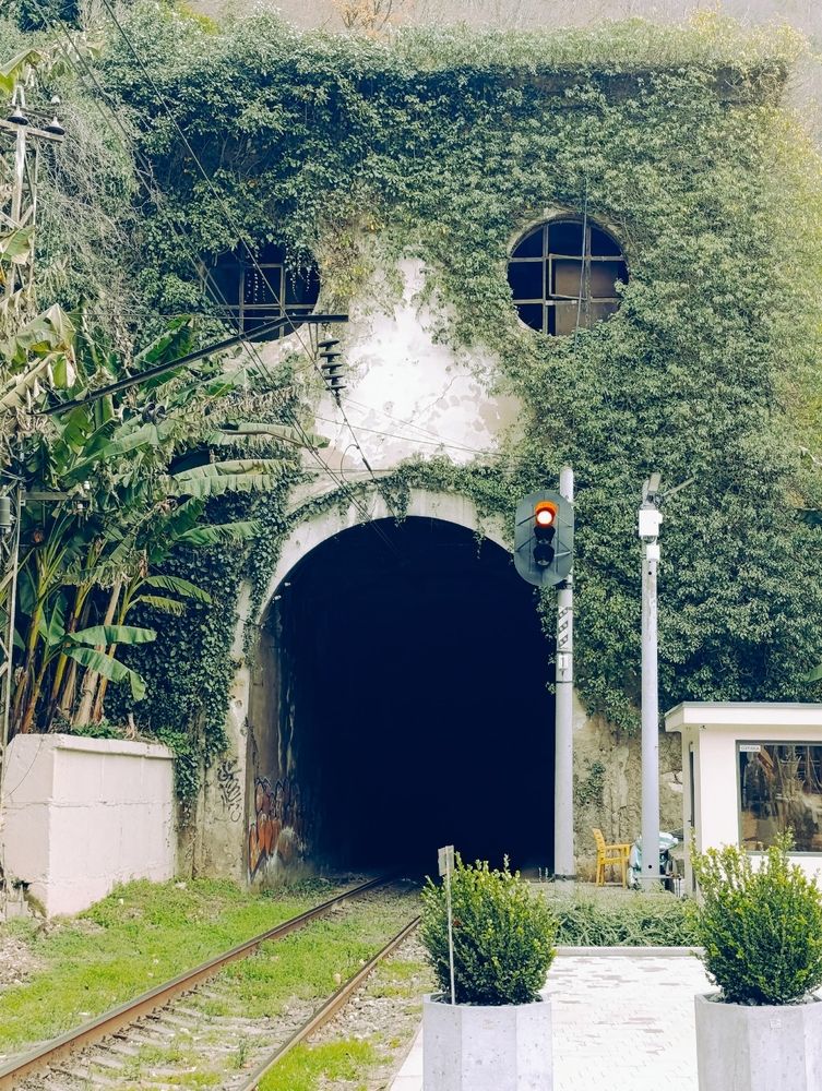 Photograph by Юлия Некрасова