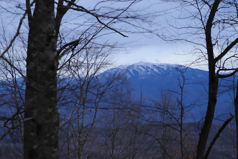 Фотография автора Цибуляк Анна