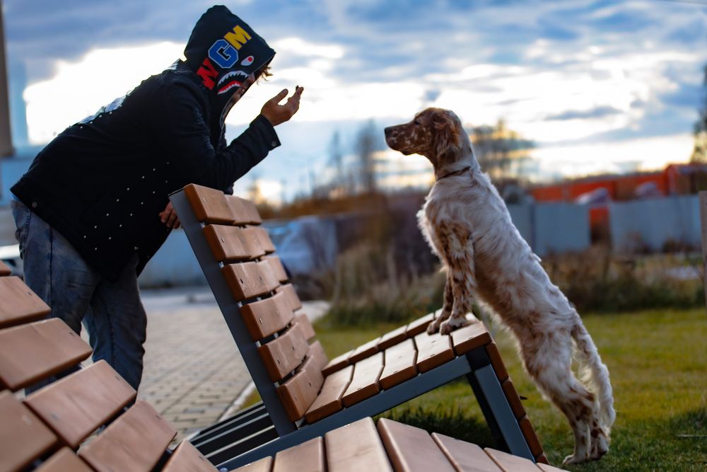 Фотография автора Екатерина Козловская