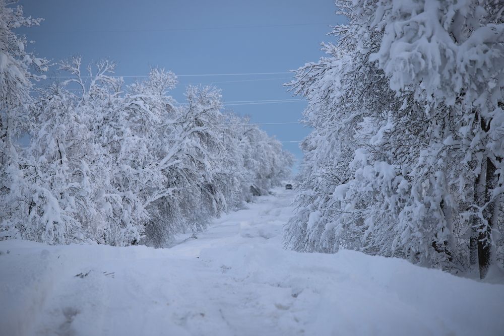 Фотография автора Цибуляк Анна