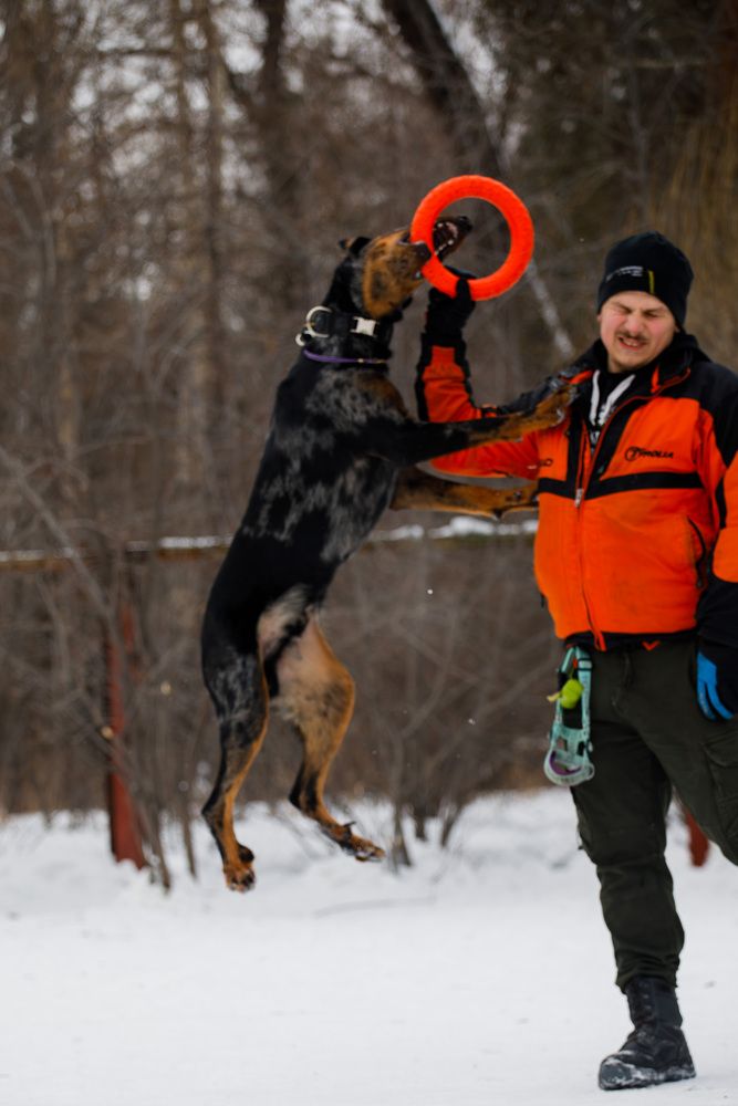 Фотография автора Екатерина Козловская