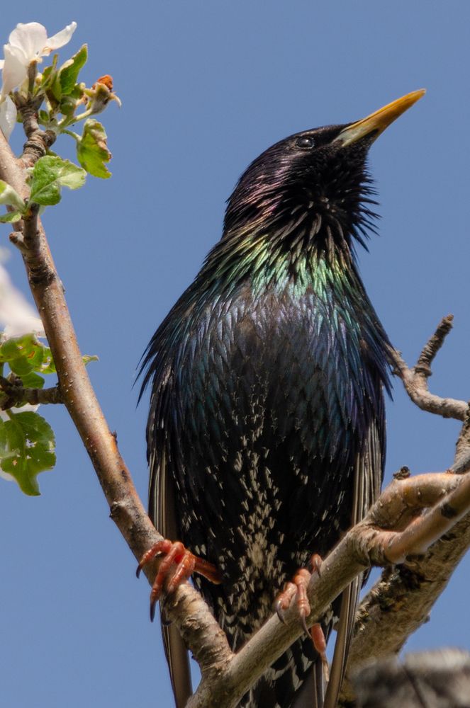 Photograph by Ольга Салтыкова