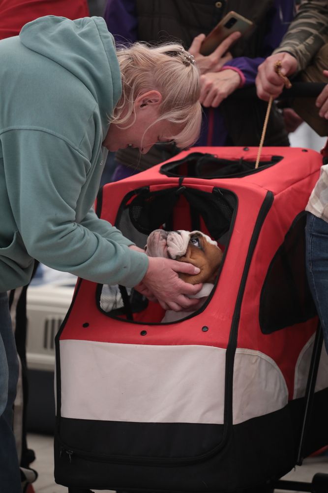 Фотография автора Екатерина Козловская