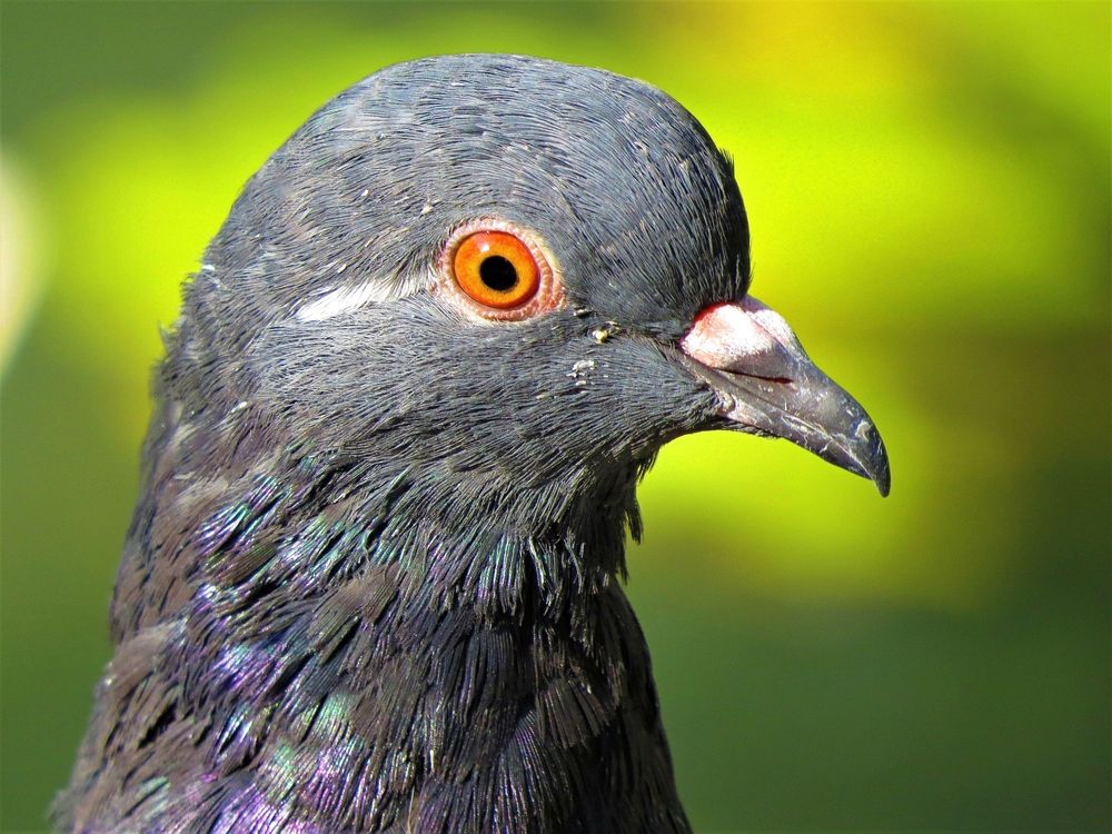 Photograph by Фартушняк Сергей