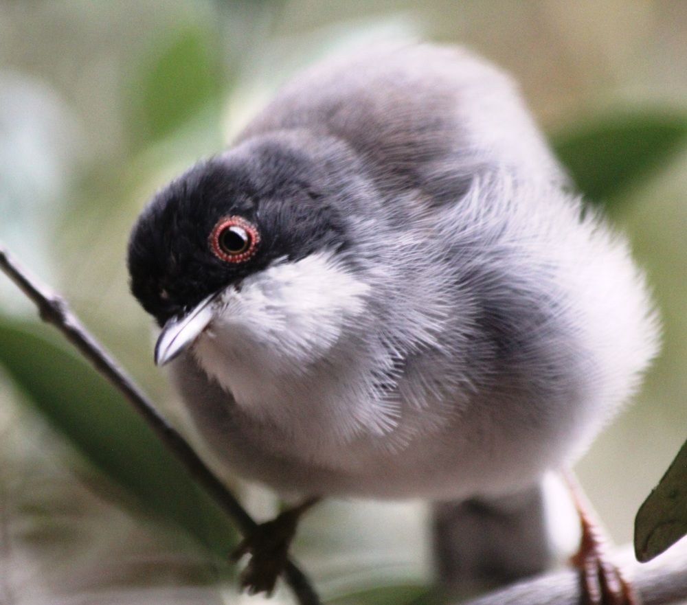 Photograph by Nadzeya