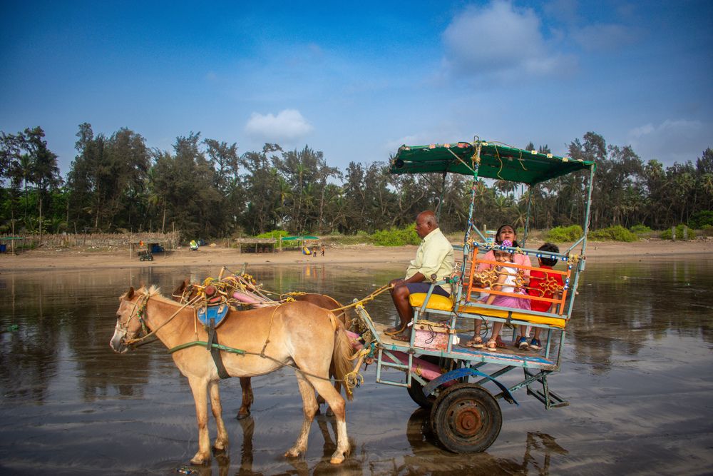 Фотография автора ABHISHEK SHAH