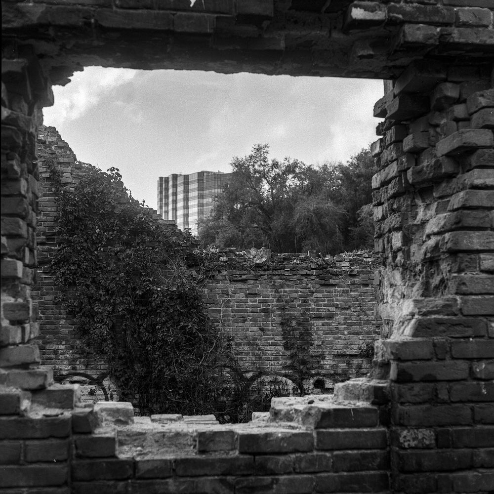 Photograph by Nicolas Varul