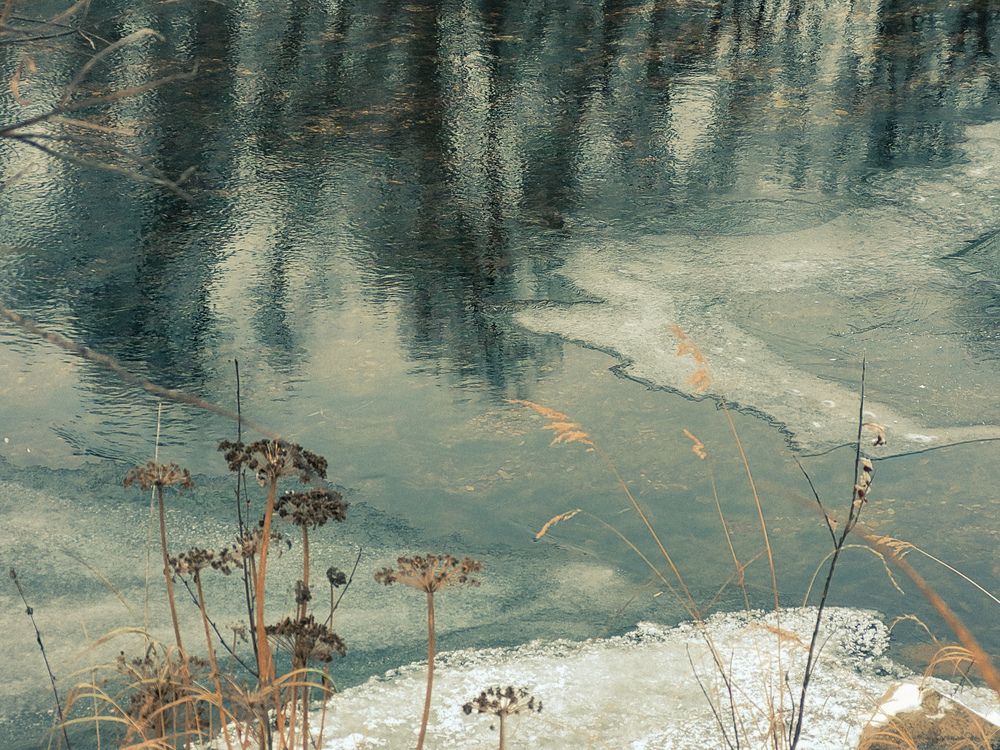 Photograph by Людмила Казакова