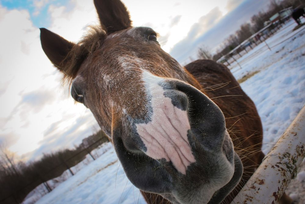 Photograph by Надежда Сидорова