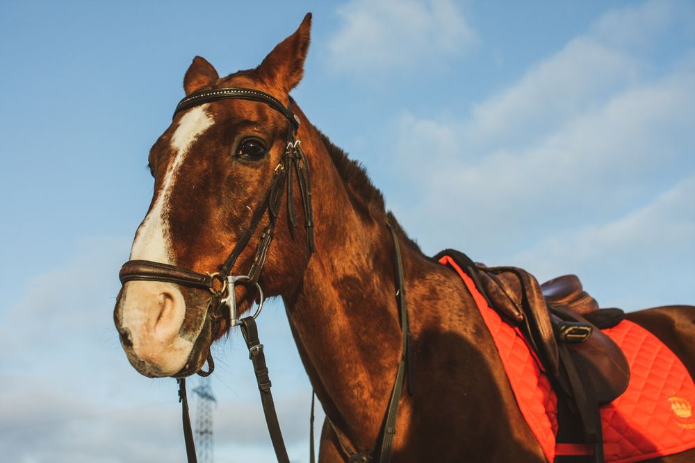 Photograph by Надежда Сидорова