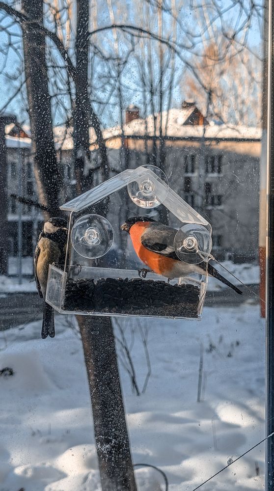 Photograph by Ирина Лузянина