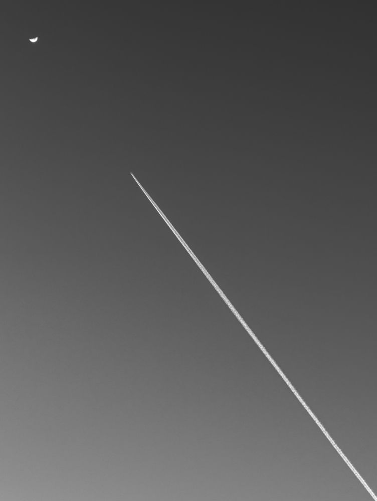 Photograph by Александр Соловьев