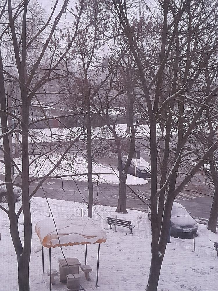 Photograph by Carmen Mihaela Chirila