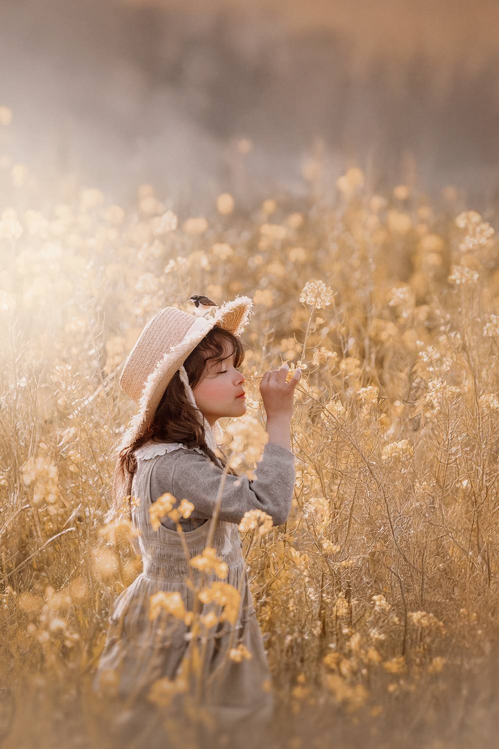 Where Light Learns to Breathe