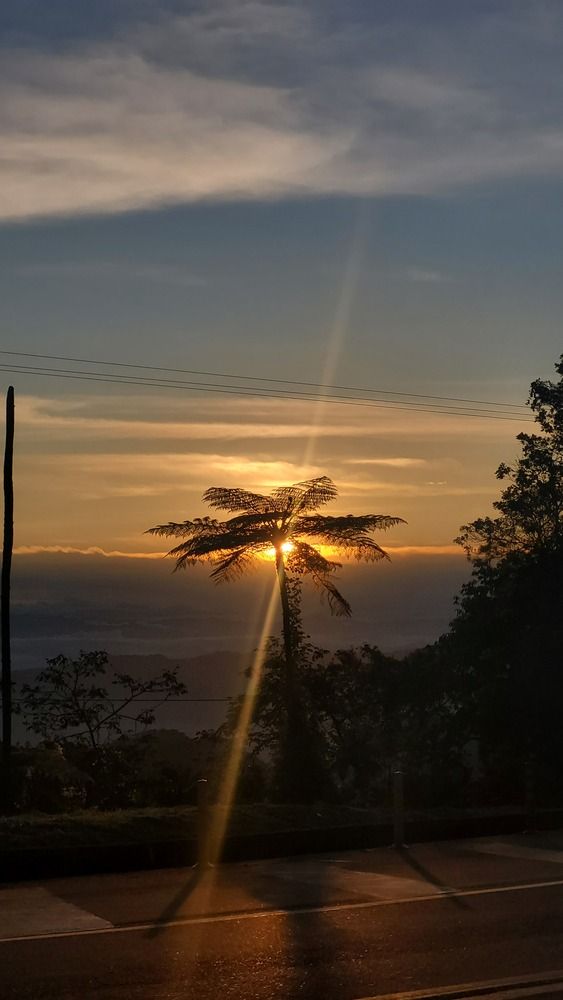 Photograph by Albert Charry