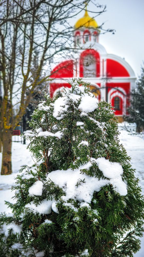 Фотография автора Бурда Юрий