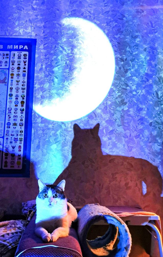 Фотография автора Антонина Добровольская