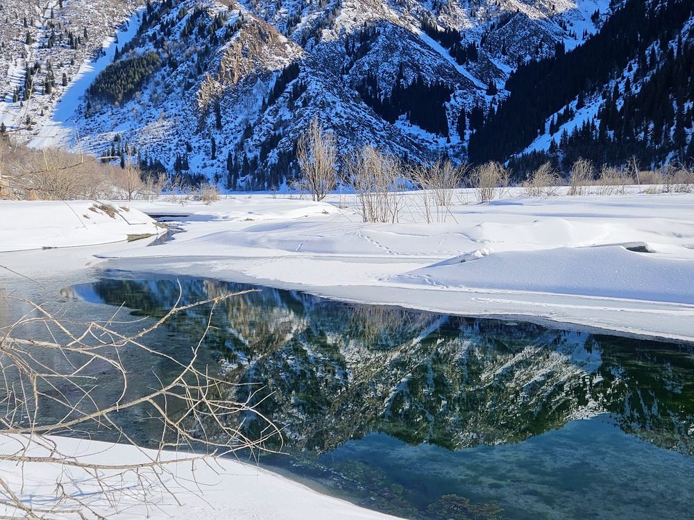 Photograph by Эльвира