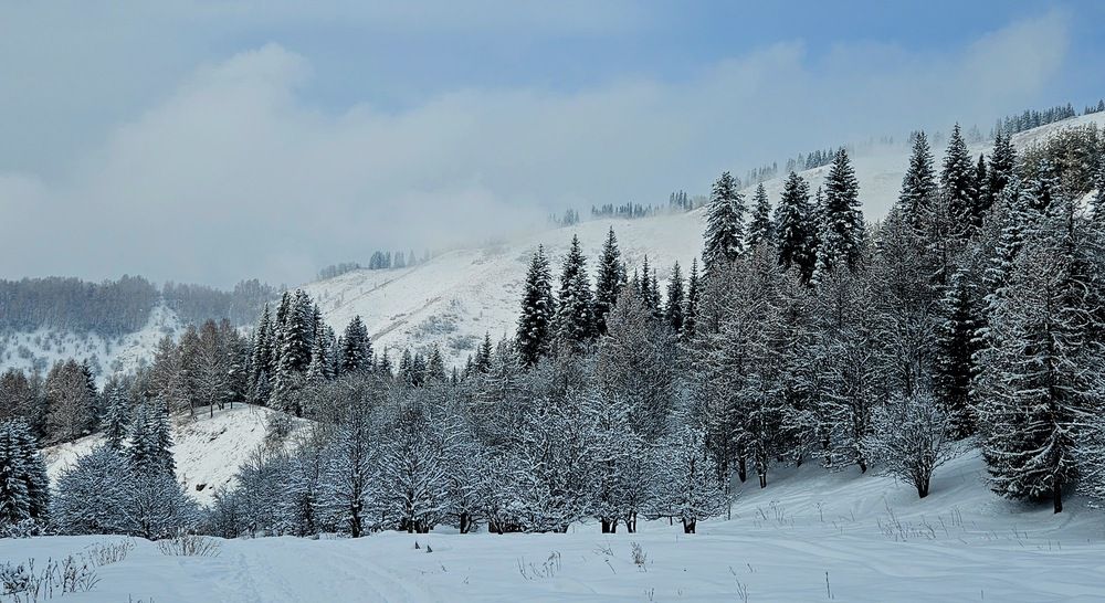 Photograph by Эльвира