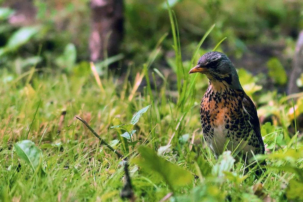 Photograph by Михаил Медведев