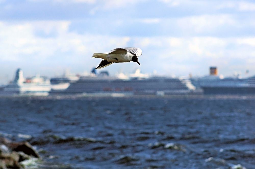 Photograph by Михаил Медведев