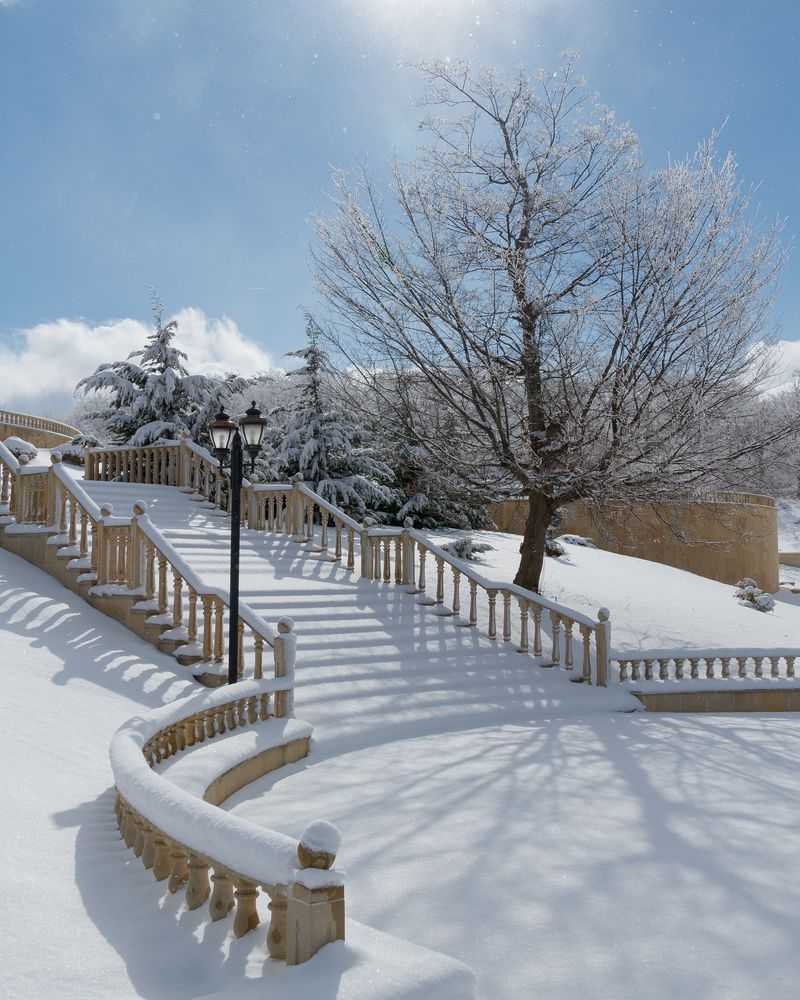 Фотография автора  Санан