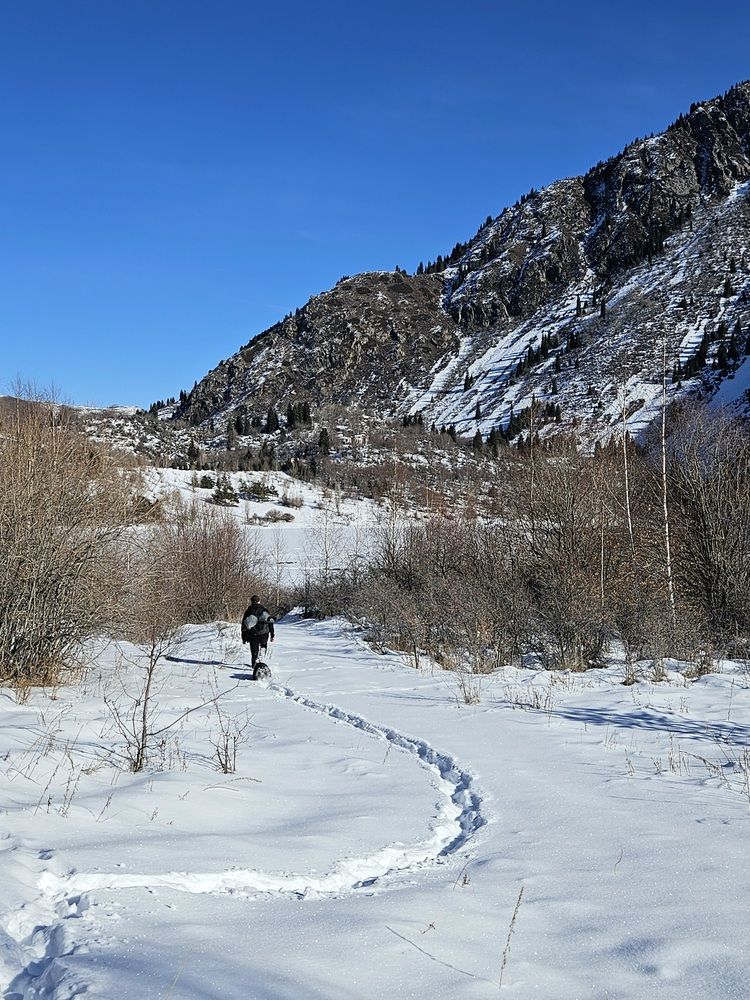 Photograph by Эльвира