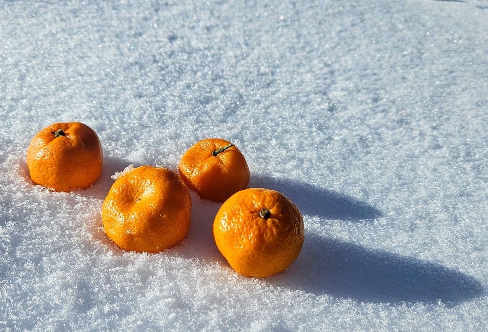 Photograph by Эльвира