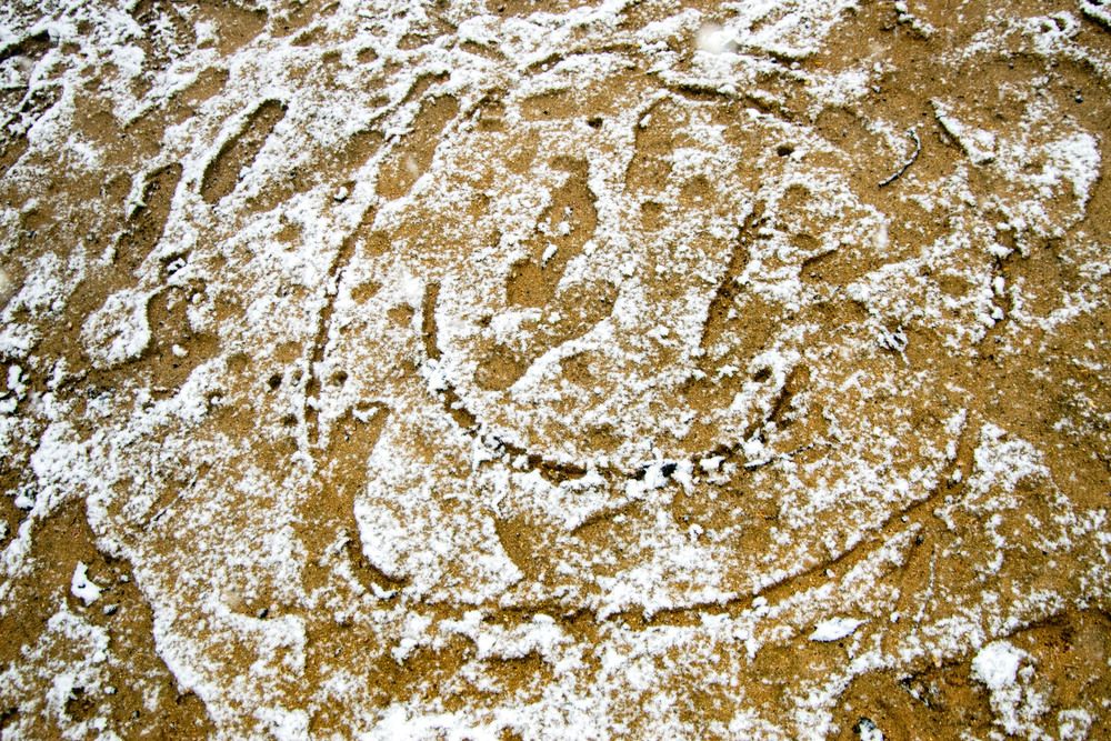 Photograph by Дария Ризниченко