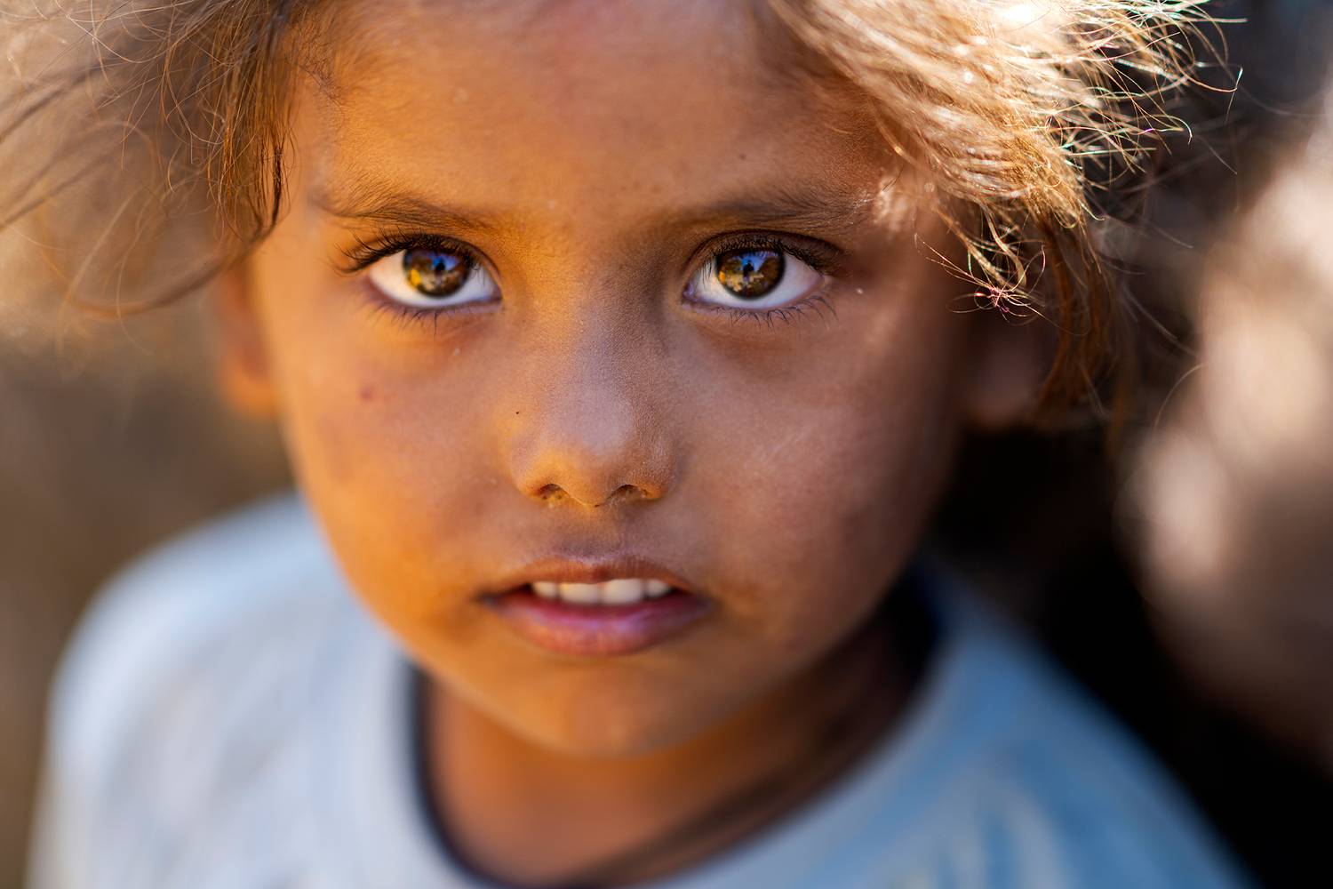 Those Labradorite Eyes V1
